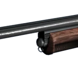 Two Barrel Shotgun