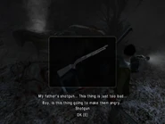 The description of the gun