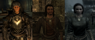 Fayre (right), Raiken (center), and Finn the Altmer (left)