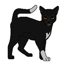 Krucza apa 2 OC Wojownicy Wiki Fandom krucza-apa-2-oc-wojownicy-wiki-fandom