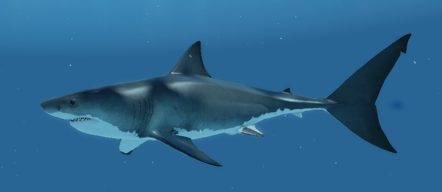 Great White Shark | Oceanic (ROBLOX) Wiki | Fandom