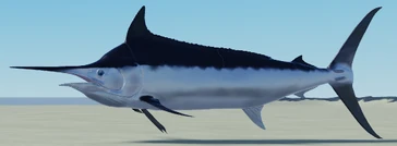 Black Marlin | Oceanic (ROBLOX) Wiki | Fandom