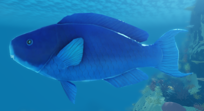 Blue Parrotfish | Oceanic (ROBLOX) Wiki | Fandom