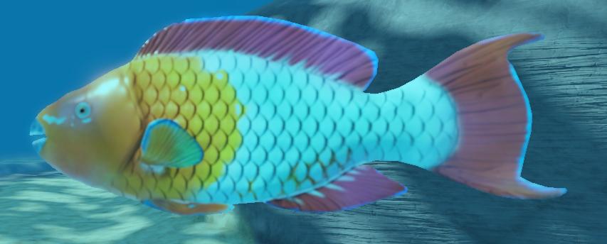 rainbow parrotfish habitat