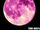 Pink Moon.jpg