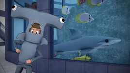 Behind Shark Joe