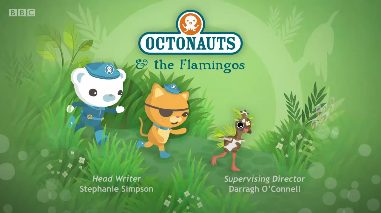 octonauts flamingo creature report octonauts