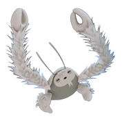 The Yeti Crab