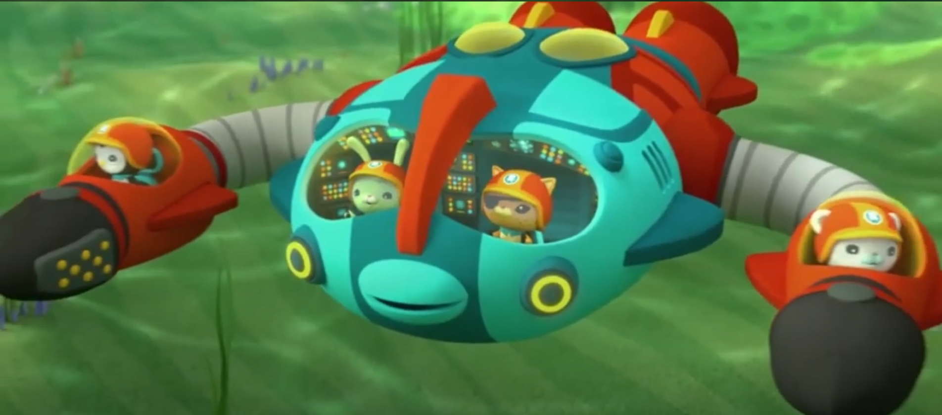 Kwazii, Octonauts Wiki