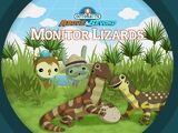 The Monitor Lizards