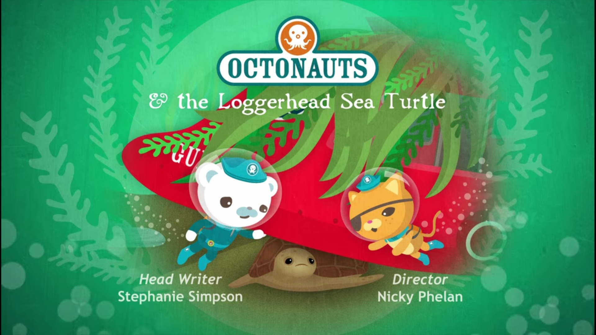 Octonauts Loggerhead Sea Turtle