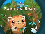 The Rainforest Rescue