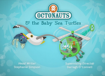 Baby Sea Turtles - Bearport Publishing
