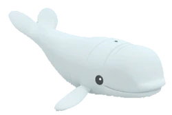 Beluga whale