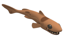 Dwarf Lanternshark.png