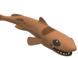 Dwarf Lantern Shark