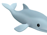 Baby Dolphin