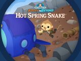 The Hot Spring Snake
