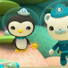 Octonauts And The Great Barrier Reef Octonauts Wiki Fandom