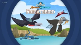 A&B S4 Frigatebird Title Card