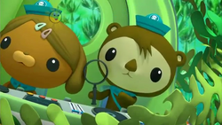 Shellington, Octonauts Wiki