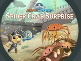 The Spider Crab Surprise