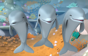 Dolphin Trio