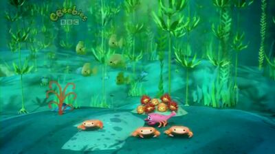 Kelp Forest | Octonauts Wiki | Fandom
