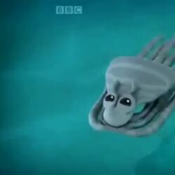 photo Mimic Octopus Octonauts mortimer octonauts wiki fandom
