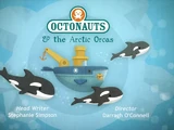 The Arctic Orcas