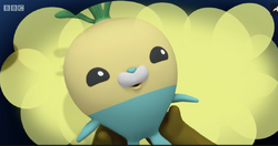 octonauts tunip