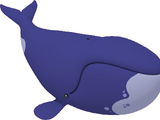 Bowhead whale