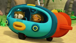 Octonauts - Sunlight Zone Adventures 🌊☀️ | Summer Special