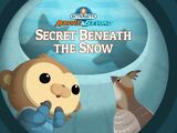 The Secret Beneath the Snow