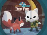 The Red Fox