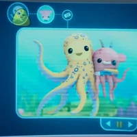 Blue Ringed Octopus Octonauts Wiki Fandom He stopped breathing but his heart was fine, his. blue ringed octopus octonauts wiki