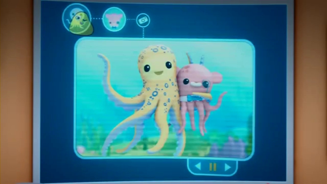 Blue Ringed Octopus Octonauts Wiki Fandom