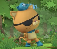 Kwazii/gallery Octonauts Wiki Fandom
