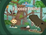 The Flooded Forest