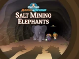 The Salt-Mining Elephants