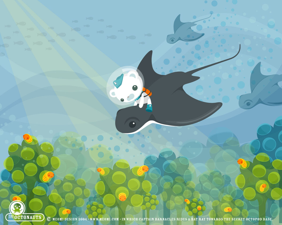 Download Join the Octonauts on the adventure of a lifetime! Wallpaper |  Wallpapers.com