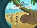 The Pygmy Sloths