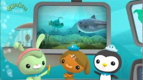 Octonauts Creature Report The Whale Shark Ep 1