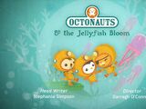 The Jellyfish Bloom