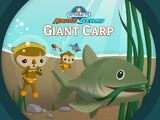 The Giant Carp