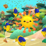 Octonauts And The Great Barrier Reef Octonauts Wiki Fandom