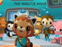 Octonauts Min in creature report