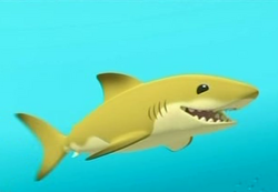 Lemmy the Lemon Shark