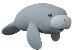 Manatee