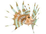 Lionfish